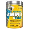 Big Joy Essential Amino Reaal 420 Gr – EAA (Esansiyel Amino Asit)
