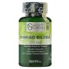 Nature’s Supreme Ginkgo Biloba 120 Mg 120 Kapsül – Antioksidan