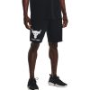 Under Armour Project Rock Brahma Bull Terry Şort Siyah – Erkek Spor Giyim