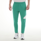 adidas M Fı Bos Pt Erkek Eşofman Altı Yeşil