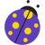 n11
