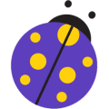 n11